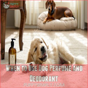 When to Use Dog Perfume and Deodorant