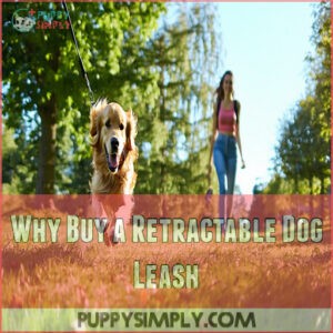 Why Buy a Retractable Dog Leash