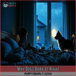 Why Dogs Bark at Night