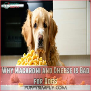 Why Macaroni and Cheese is Bad for Dogs