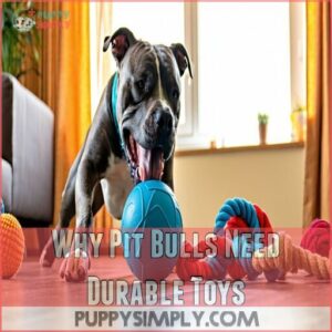 Why Pit Bulls Need Durable Toys