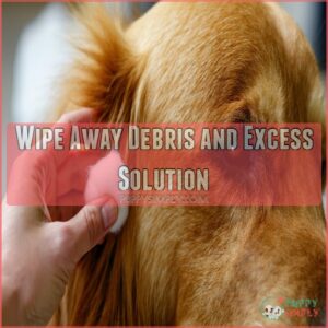 Wipe Away Debris and Excess Solution