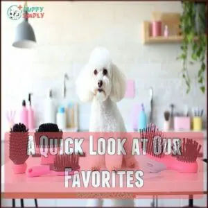 A Quick Look at Our Favorites