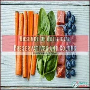 Absence of Artificial Preservatives and Colors