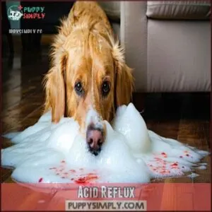 Acid Reflux