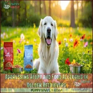 Addressing Atopy and Food Allergies in Golden Retrievers