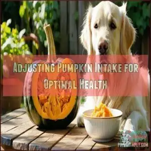 Adjusting Pumpkin Intake for Optimal Health