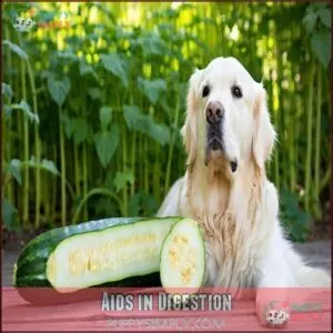 Aids in Digestion