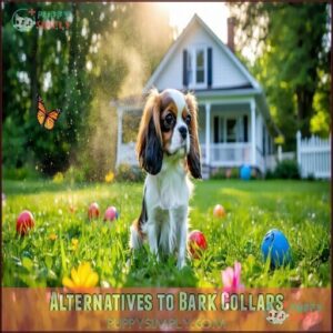 Alternatives to Bark Collars