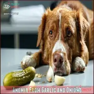 Anemia From Garlic and Onions