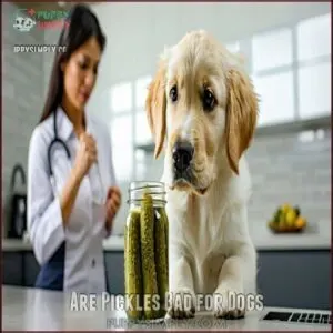 Are Pickles Bad for Dogs