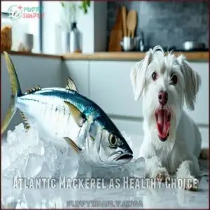 Atlantic Mackerel as Healthy Choice