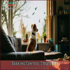 Barking Control Strategies