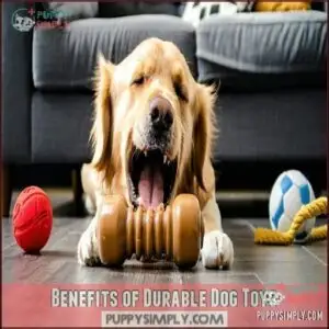 Benefits of Durable Dog Toys