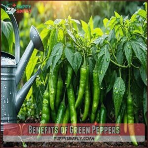 Benefits of Green Peppers