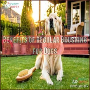 Benefits of Regular Brushing for Dogs