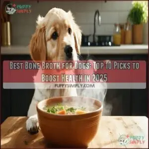 best bone broth for dogs