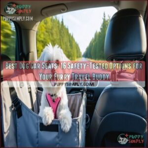 best dog car seats