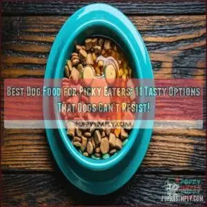 best dog food for picky eaters