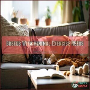 Breeds With Minimal Exercise Needs