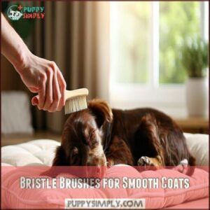 Bristle Brushes for Smooth Coats