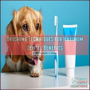 Brushing Techniques for Maximum Dental Benefits