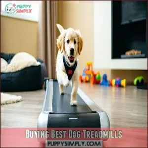 Buying Best Dog Treadmills