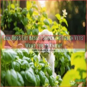 Can Dogs Eat Basil