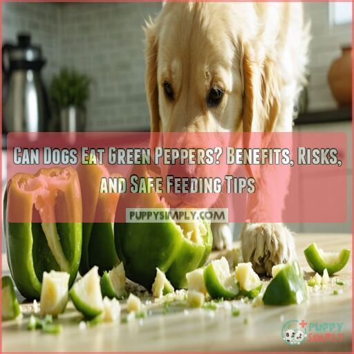 Can Dogs Eat Chicken Noodle Soup Risks Benefits And Homemade Recipe can-dogs-eat-chicken-noodle-soup-risks-benefits-and-homemade-recipe