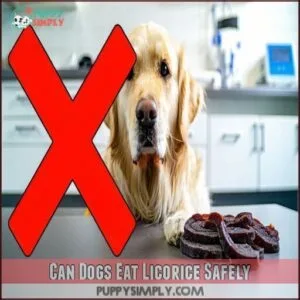 Can Dogs Eat Licorice Safely