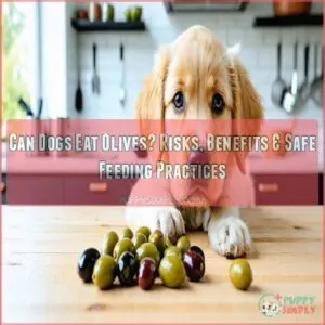 Can Dogs Eat Olives