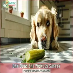 Can Dogs Eat Pickles Safely