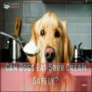Can Dogs Eat Sour Cream Safely