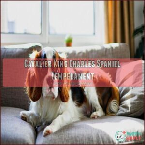 Cavalier King Charles Spaniel Temperament