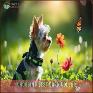 Choosing Best Bark Collar