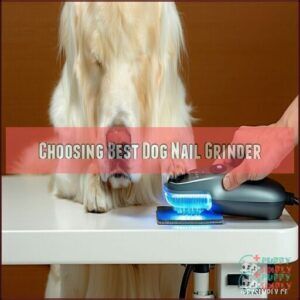 Choosing Best Dog Nail Grinder