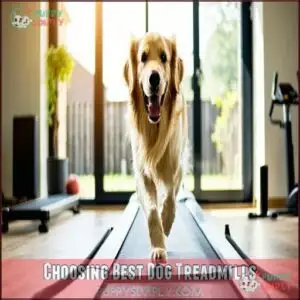 Choosing Best Dog Treadmills