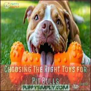 Choosing The Right Toys for Pit Bulls