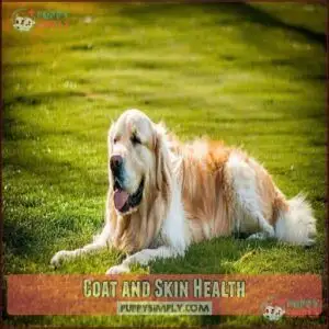 Coat and Skin Health