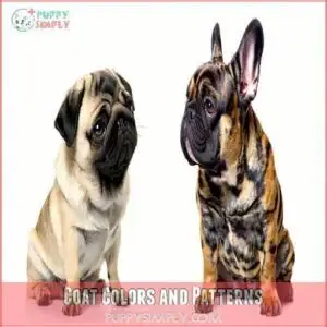 Coat Colors and Patterns