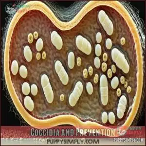 Coccidia and Prevention
