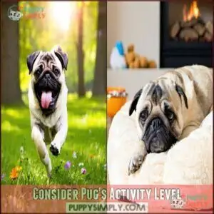 Consider Pug's Activity Level