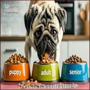 Consider Pug's Life Stage