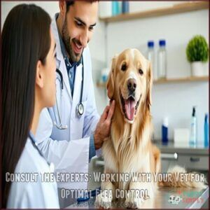 Consult The Experts: Working With Your Vet for Optimal Flea Control