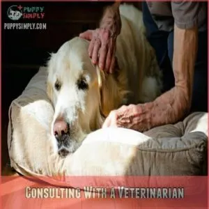 Consulting With a Veterinarian