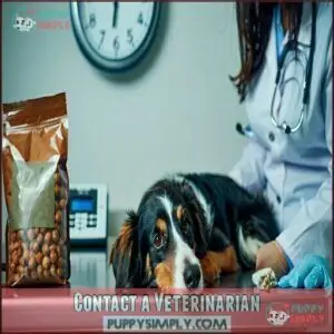 Contact a Veterinarian
