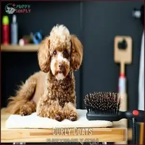 Curly Coats