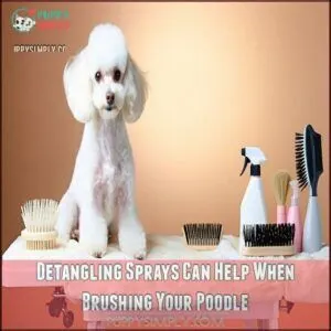 Detangling Sprays Can Help When Brushing Your Poodle