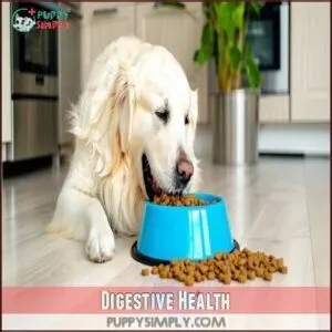 Digestive Health