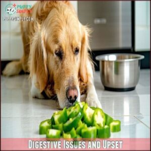 Digestive Issues and Upset